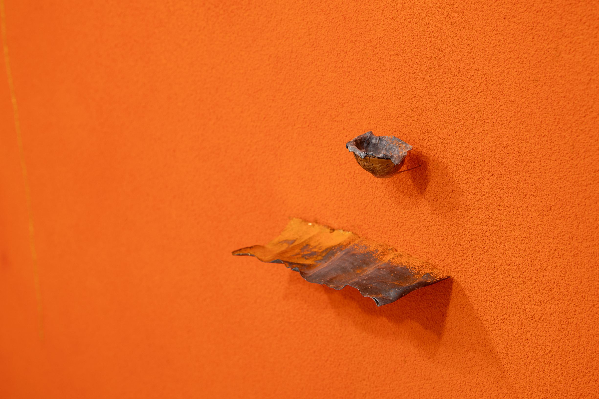 Pier Paolo Calzolari | La terre est bleue comme une orange