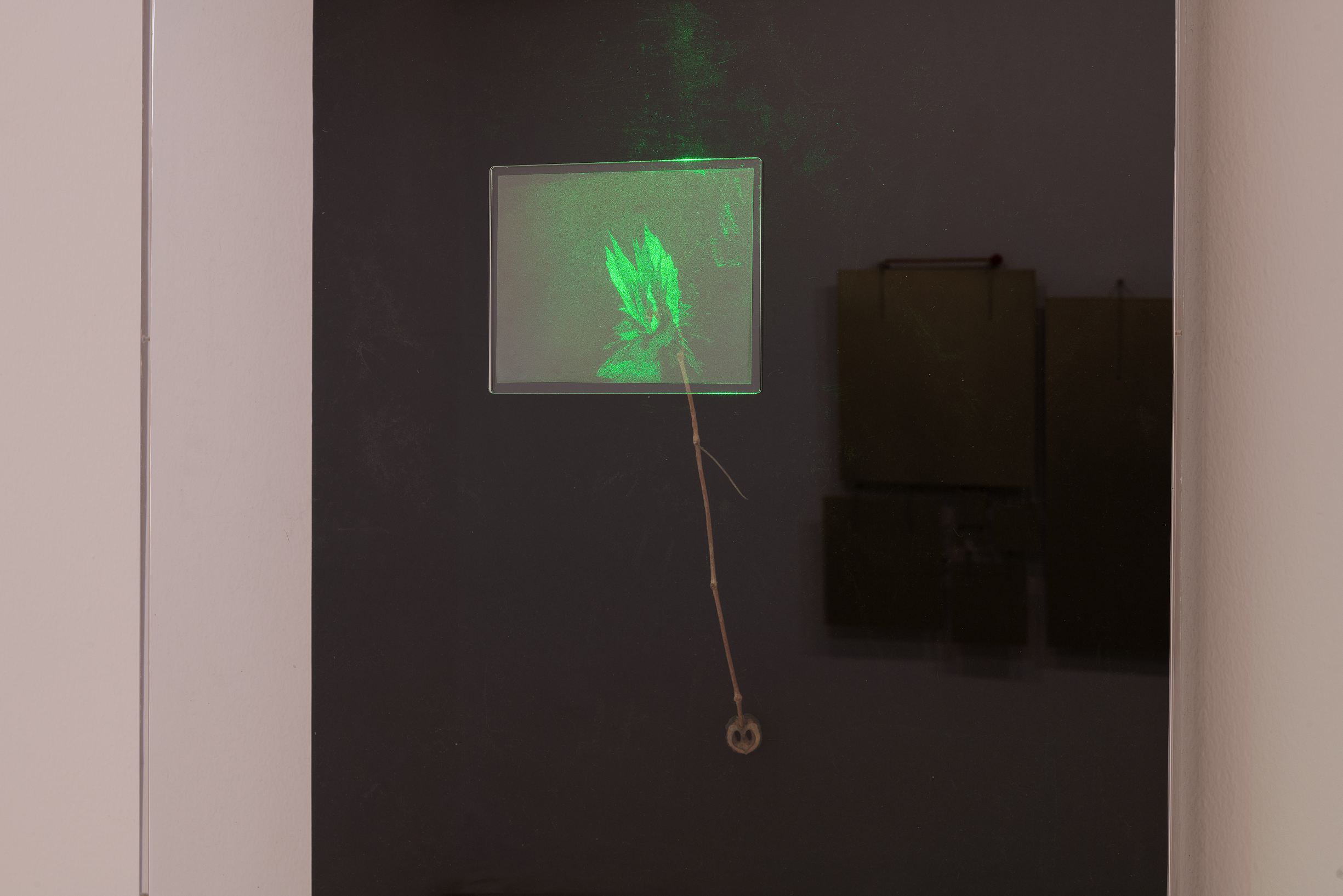 Alessandro Sciaraffa / Sinfonia Quadridimensionale