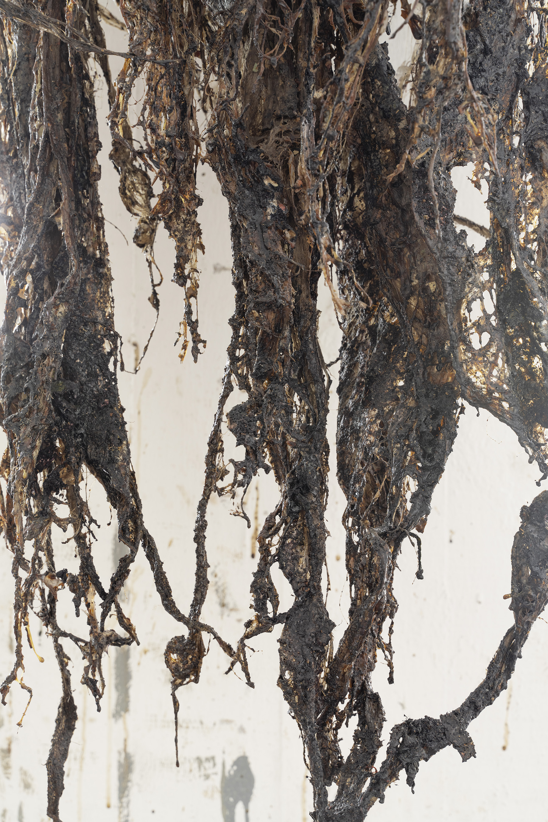 Gabriele Silli / Anticipazione della fine