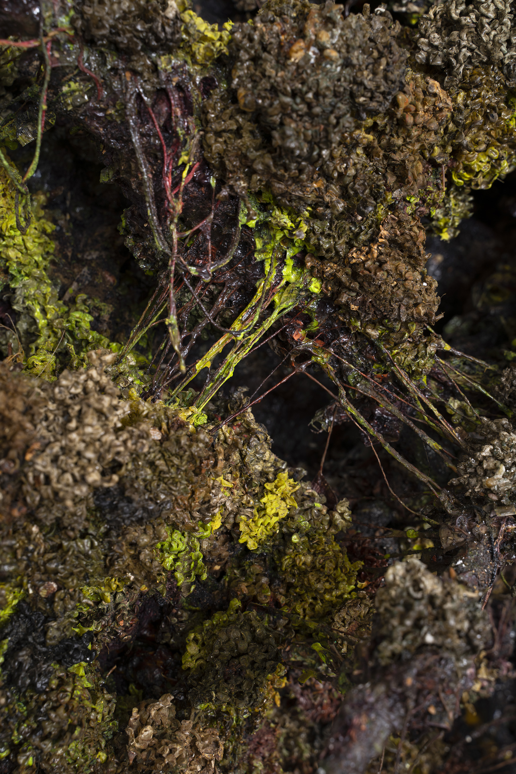 Gabriele Silli / Anticipazione della fine