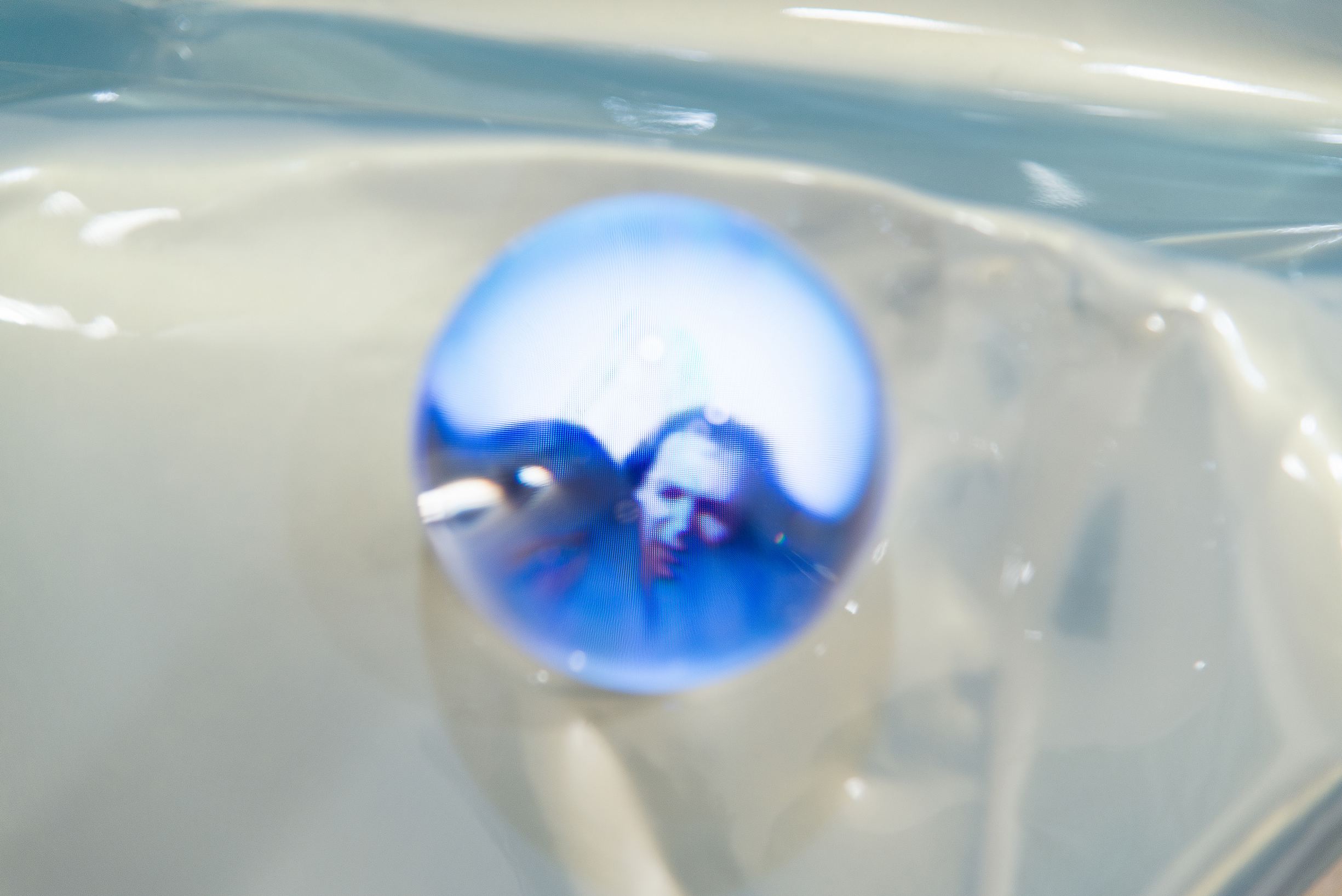 Voglio proprio vedere