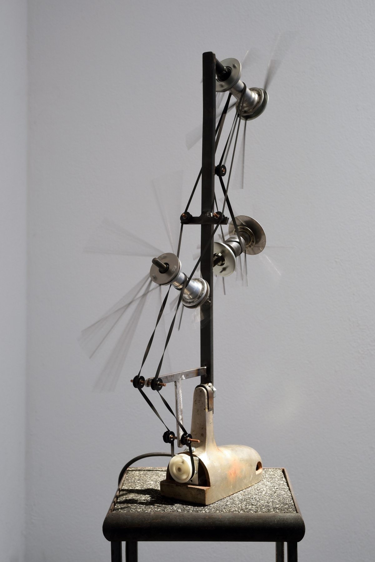 Conference of Echoes