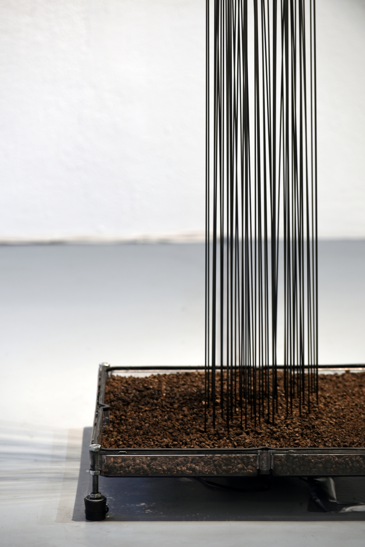 Conference of Echoes