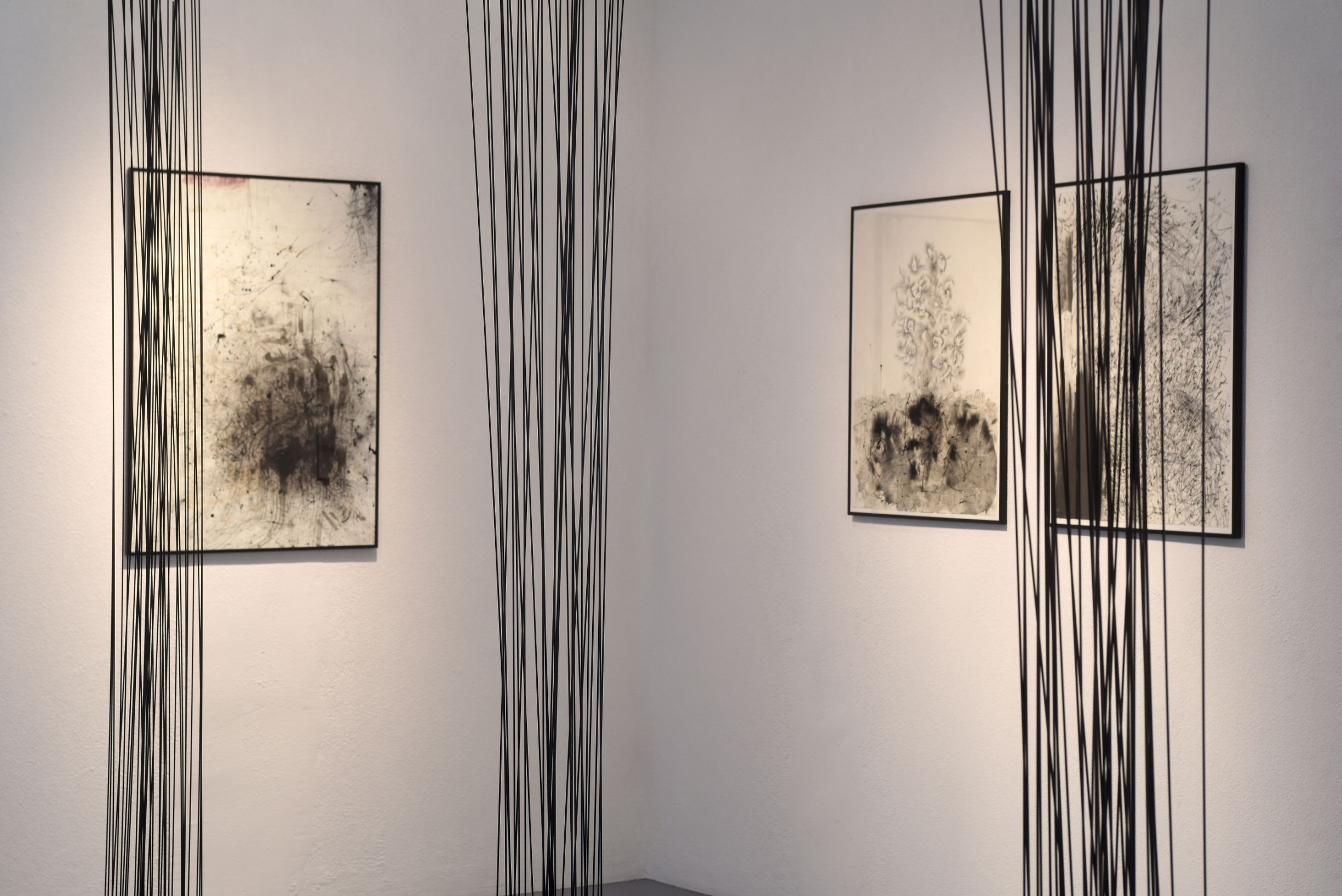 Conference of Echoes