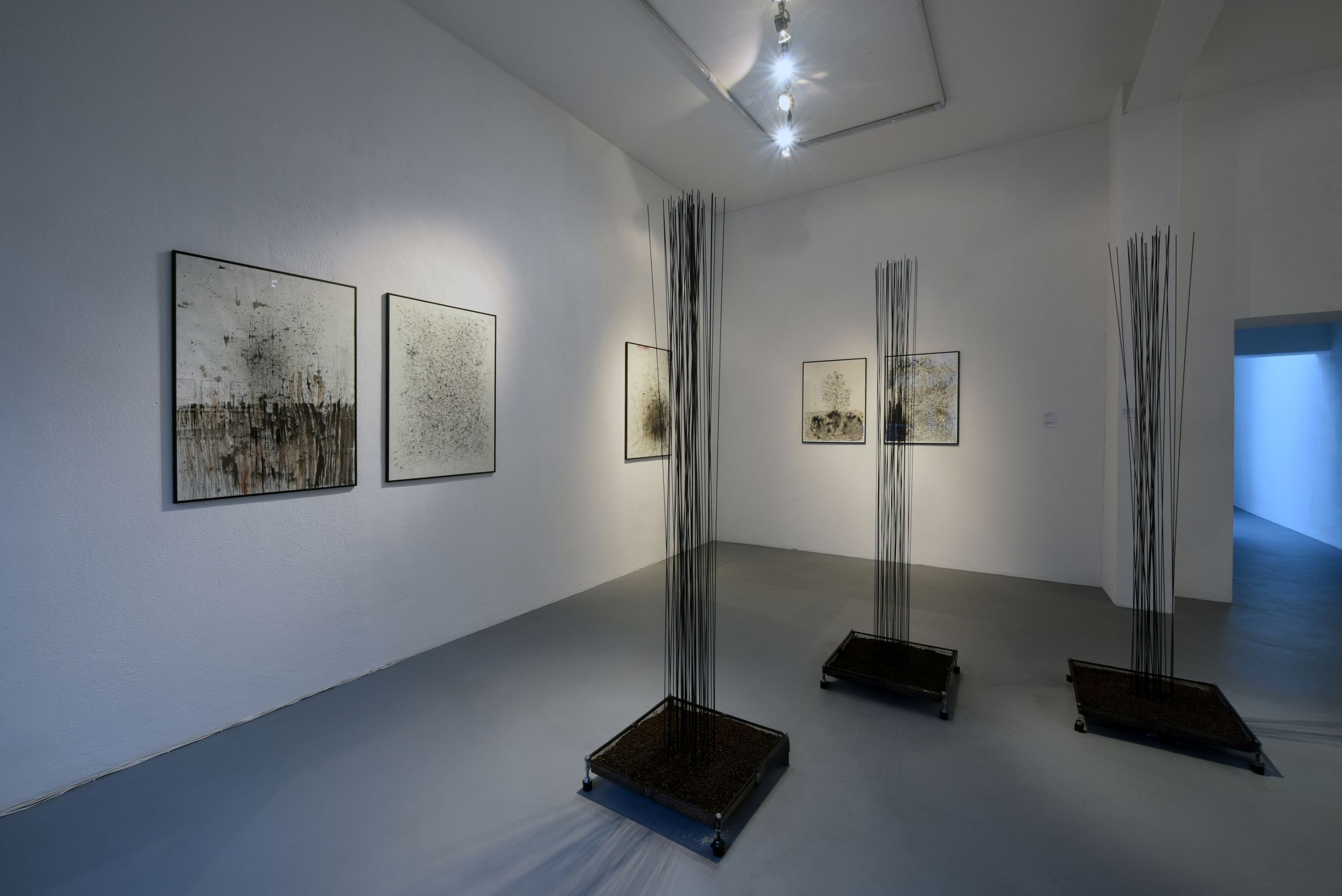 Conference of Echoes